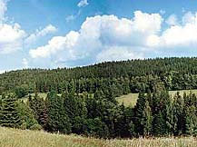 park